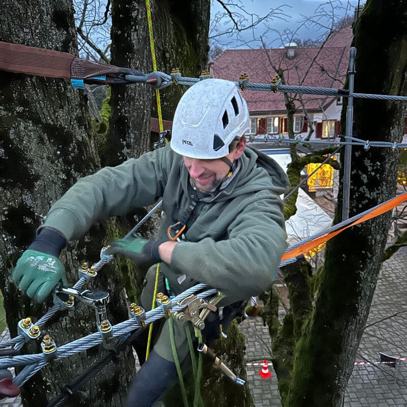 Professionelle Kronensicherung mit Seilklettertechnik - BAUMCHRAFT Christian Böhlen