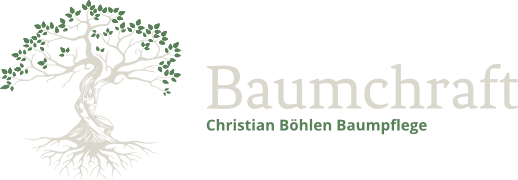 Baumchraft Christian Böhlen Logo - Professionelle Baumpflege Schweiz