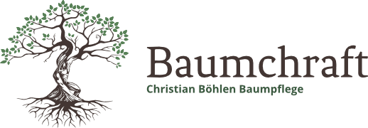 Baumchraft Christian Böhlen Logo - Professionelle Baumpflege Schweiz