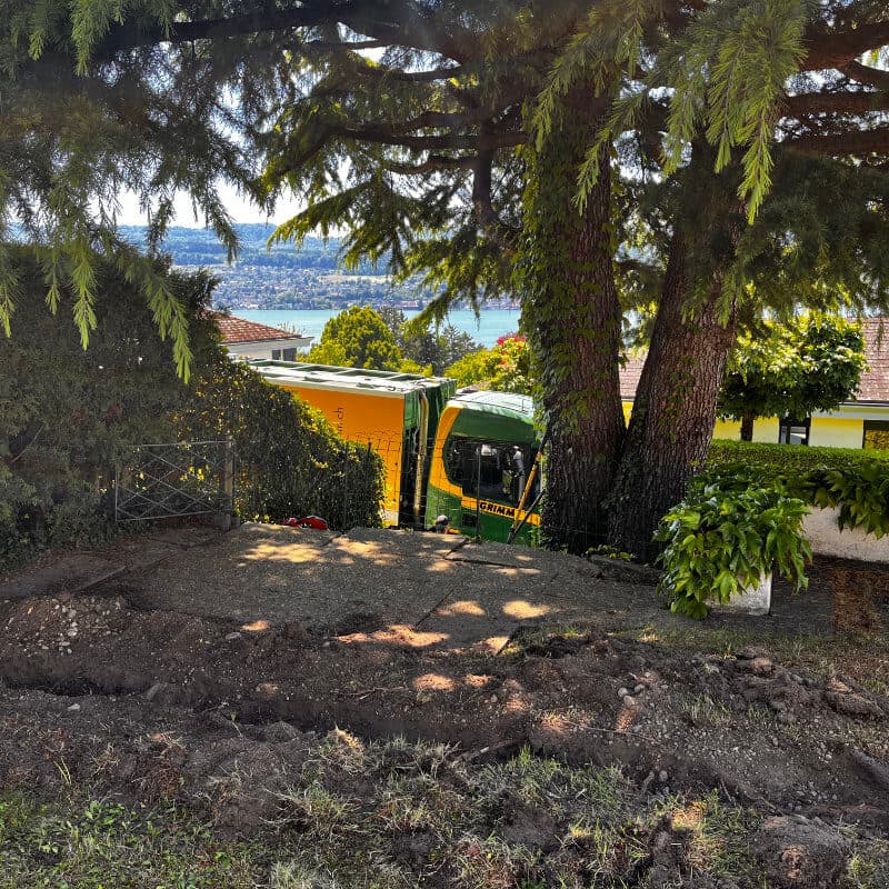 Professionelles Baumgutachten und Baumbeurteilung nach VTA-Methode - BAUMCHRAFT Christian Böhlen